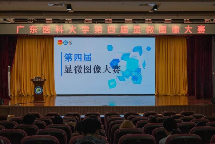 显微大赛PPT(全景)